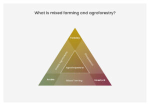 AGROMIX - AGROforestry and MIXed farming systems