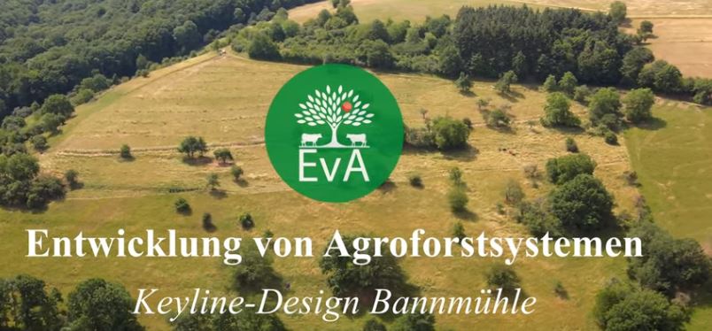 Projekt EvA – Drohnenaufnahmen zur besseren Visualisierung des multifunktionalen Keyline-Agroforstsystems