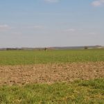 IMG 5993 Kopie 2560