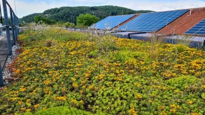 Anpassung an den Klimawandel