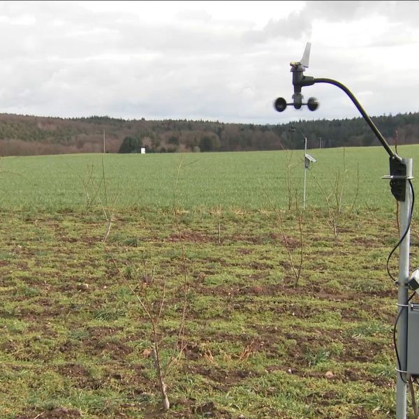 Agroforst im SWR: „Was bringen Bäume auf Ackerflächen?“