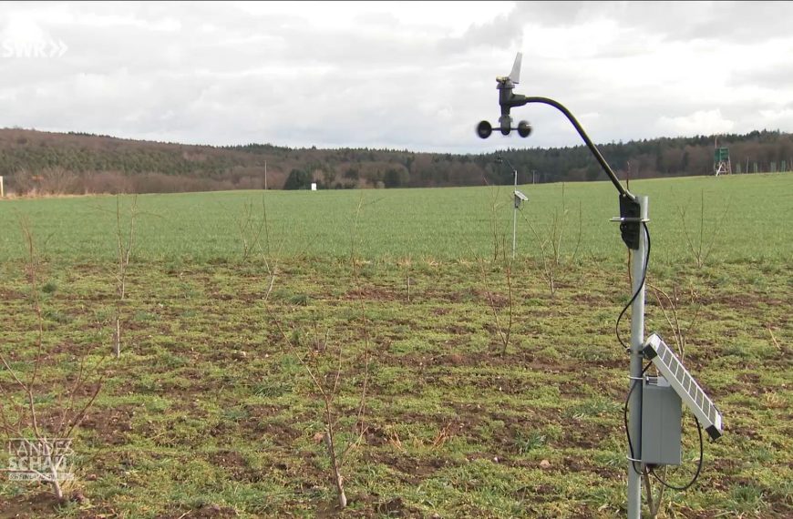 Agroforst im SWR: „Was bringen Bäume auf Ackerflächen?“