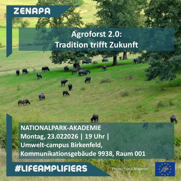 Nationalpark Akademie Hunsrück-Hochwald | Agroforst 2.0