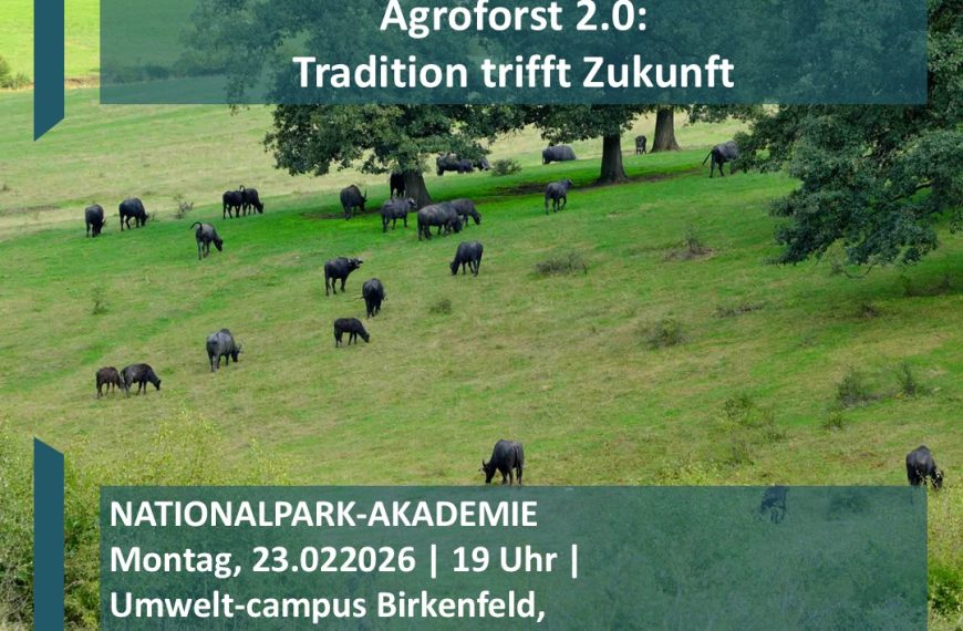 Nationalpark Akademie Hunsrück-Hochwald | Agroforst 2.0