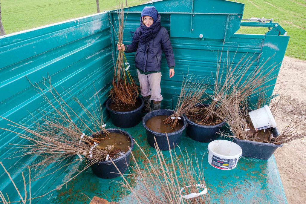 2026 03 26 Pflanzung TNG (14 Von 21)