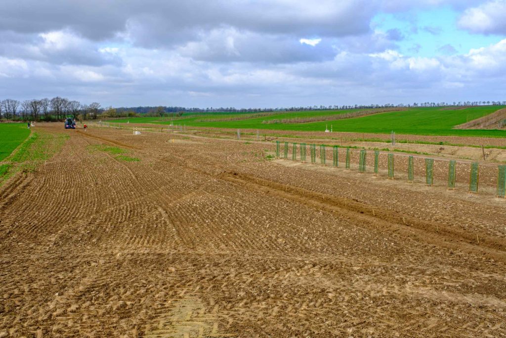 2026 03 26 Pflanzung TNG (8 Von 21)