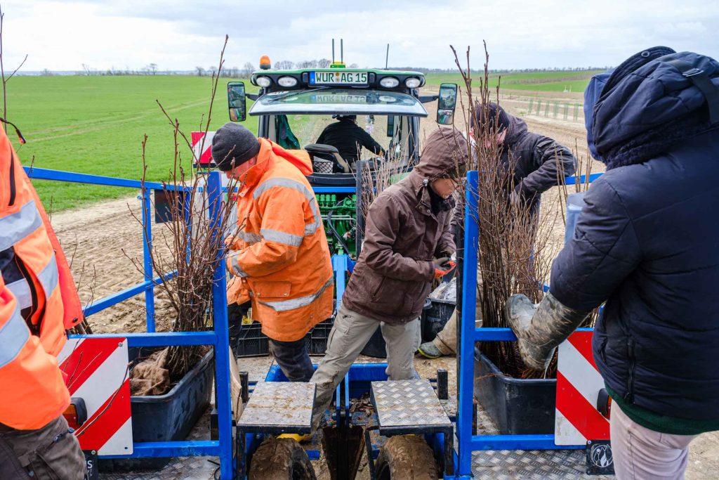 2026 03 26 Pflanzung TNG (9 Von 21)