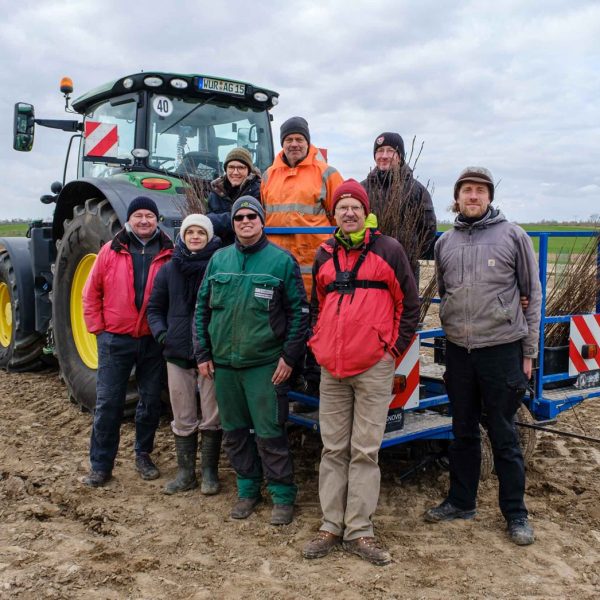 Pflanzung der Agroforststreifen am offengelegten Tauchnitzgraben