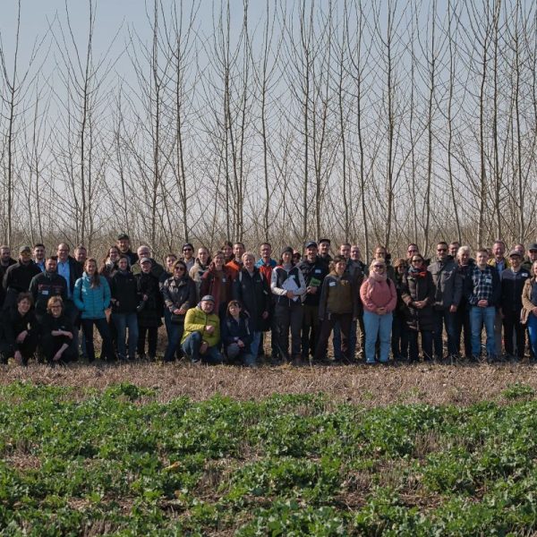 Agroforst-Feldtag Süd-Sachsen-Anhalt zieht zahlreiche Besucher an