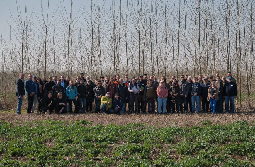 Agroforst-Feldtag Süd-Sachsen-Anhalt zieht zahlreiche Besucher an