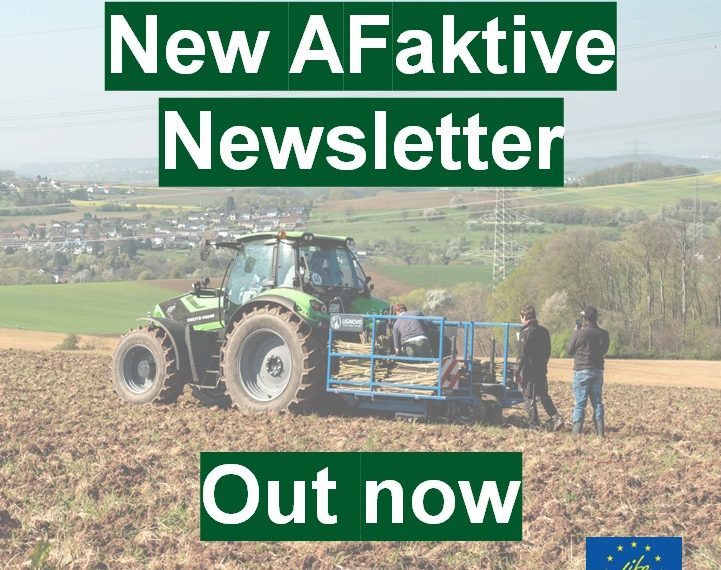 AKTUELLER NEWSLETTER LIFE AFAKTIVE