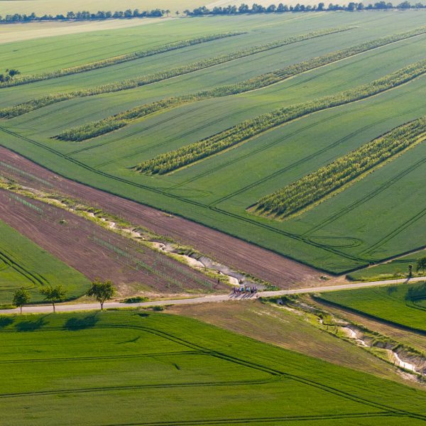 Kulturlandschaft neu gedacht: Feldtage im Wurzener Land setzen Impulse
