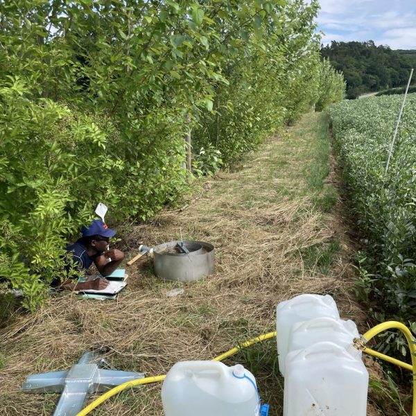 Messkampagne am Agroforst-Standort in Hessen
