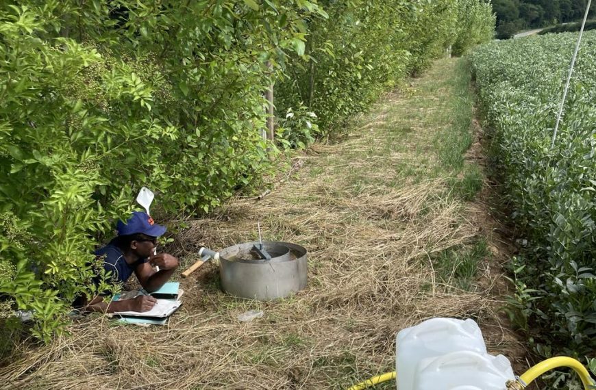 Messkampagne am Agroforst-Standort in Hessen