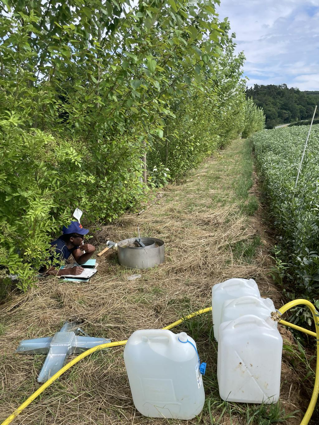 Messkampagne am Agroforst-Standort in Hessen
