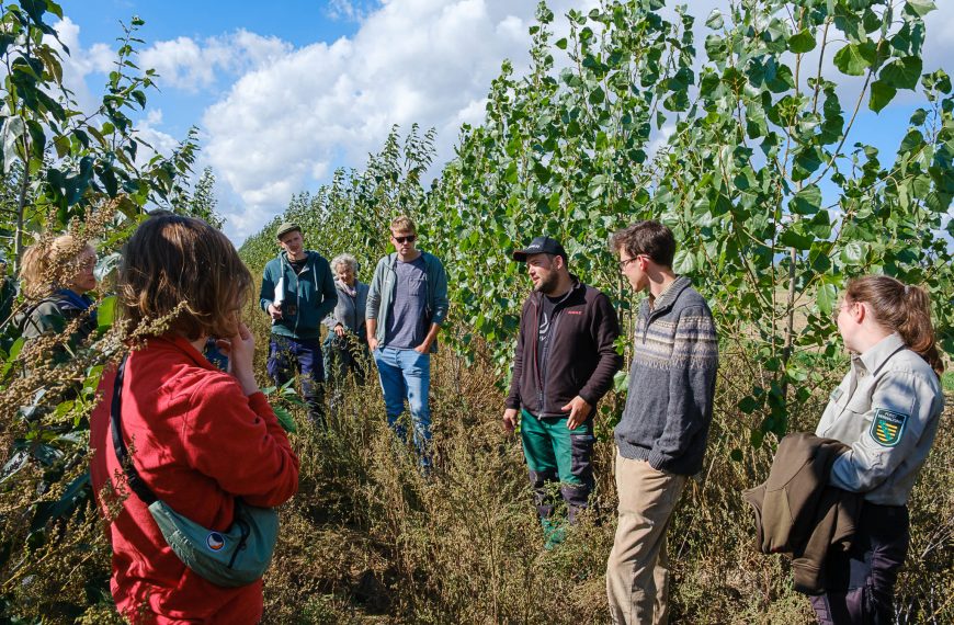Drei Betriebe – drei Agroforstsysteme – zahlreiche Praxiseinblicke: Feldtag³ in Sachsen