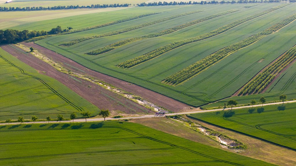 Agroforstsystem mit offengelegtem Gewässer